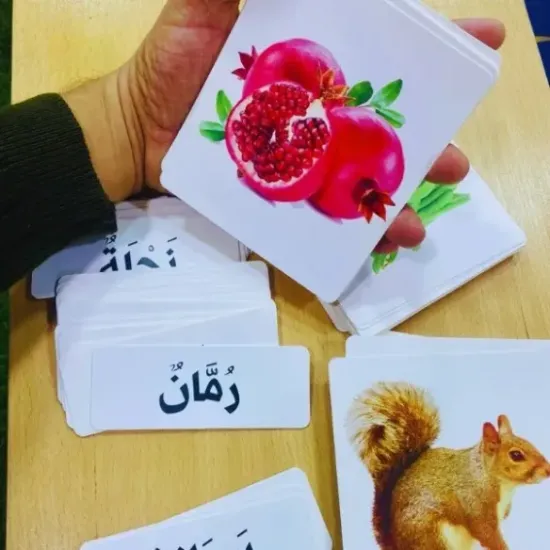 حقيبة مونتيسوري لتعلم القراءة