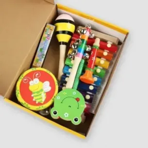 Early education musical instrument combination 2